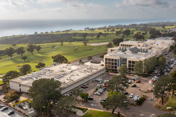 Nine new faculty join Scripps Research