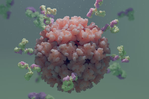 Scripps Research scientists receive up to $12M to create universal vaccine for alphaviruses