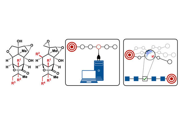 Virtual chemistry speeds up drug discovery