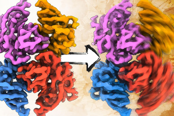 Researchers illuminate new structures of a critical amyloid protein