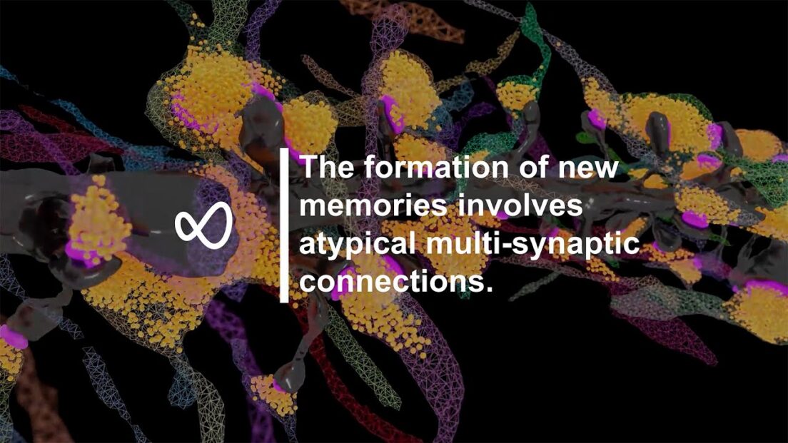 The formation of new memories involves atypical multi-synaptic connections