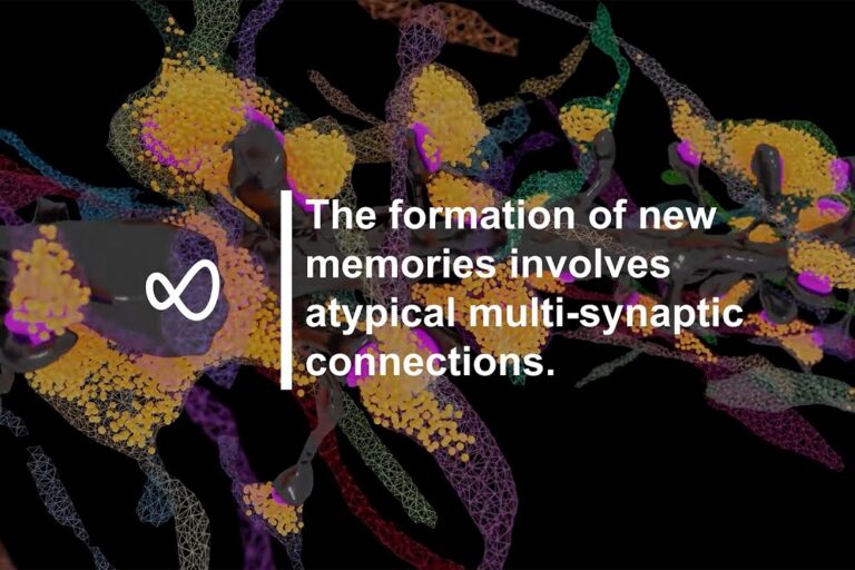 The formation of new memories involves atypical multi-synaptic connections