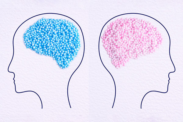 Females may be more biochemically sensitive to alcohol—long before dependence sets in