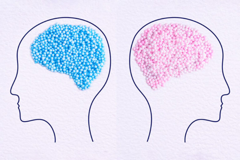 Females may be more biochemically sensitive to alcohol—long before dependence sets in