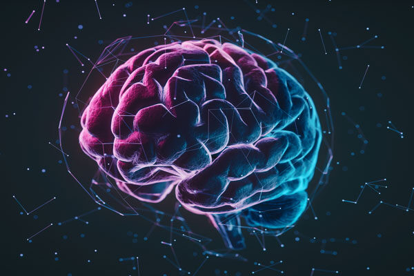 Researchers find brain region that fuels compulsive drinking