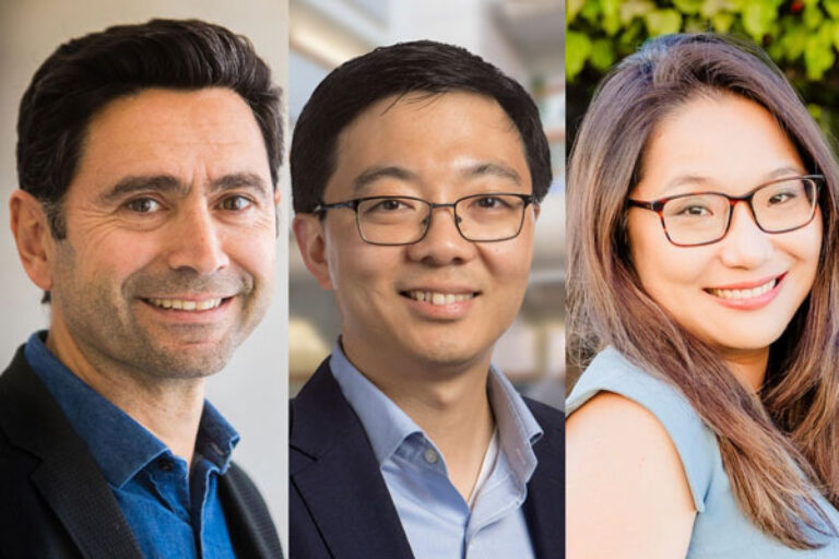 Scripps Research-led team receives $14.2M NIH award to map the body’s “hidden sixth sense”