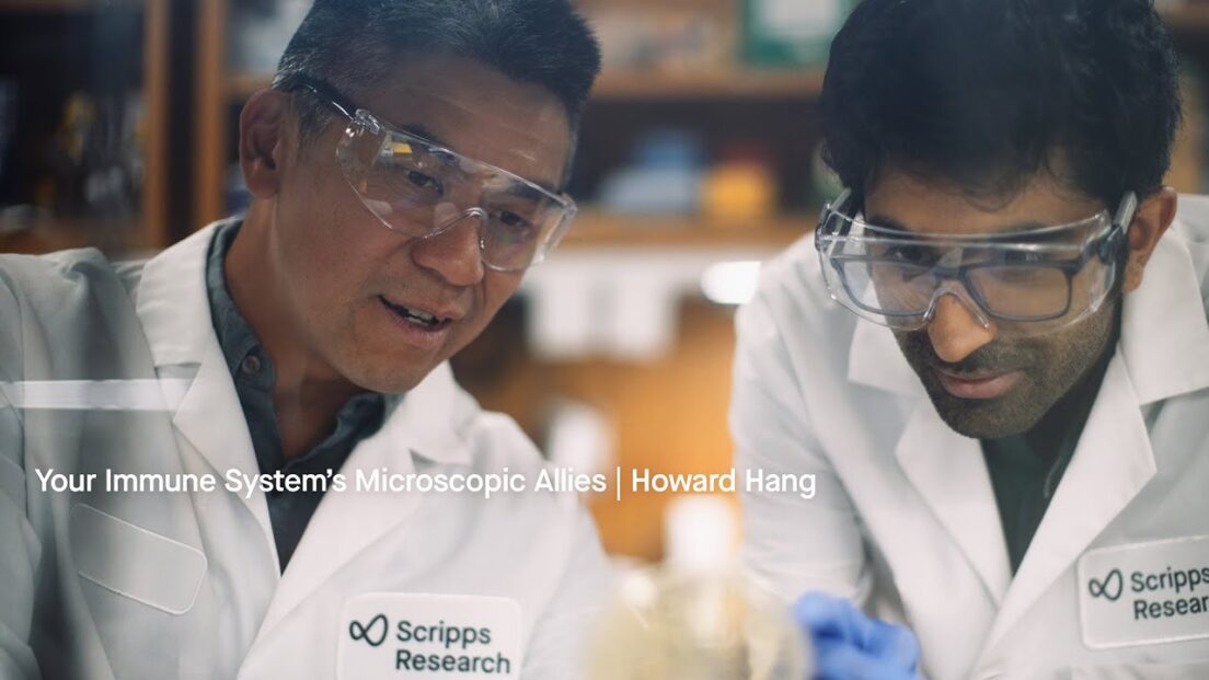 Why microbes matter: Your immune system’s microscopic allies | Behind the Bench with Howard Hang