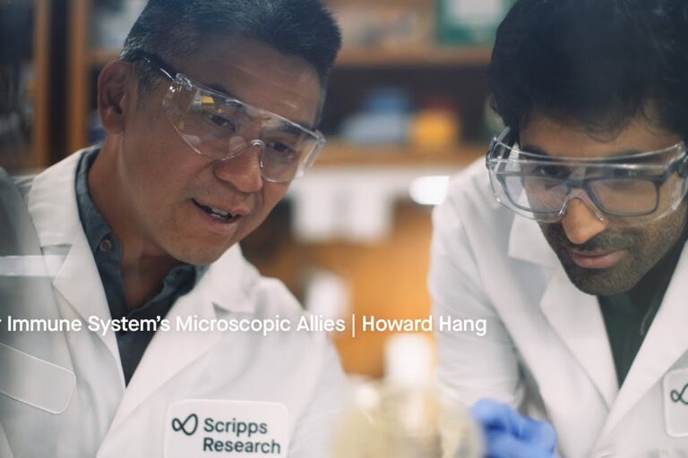 Why microbes matter: Your immune system’s microscopic allies | Behind the Bench with Howard Hang