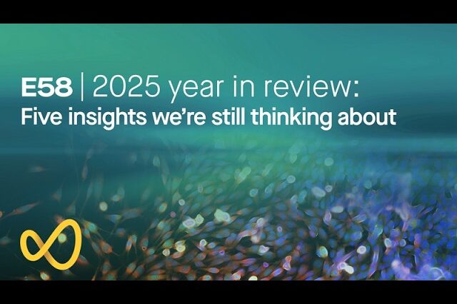 2025 year in review: Five insights we’re still thinking about