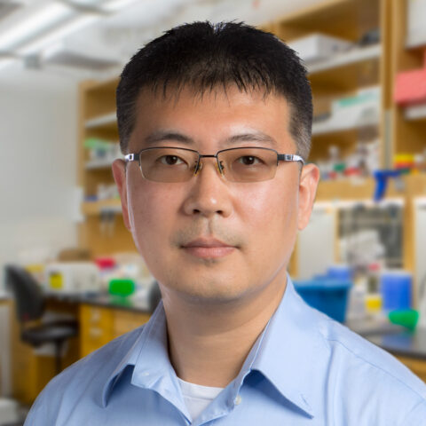 Jiang Zhu, PhD