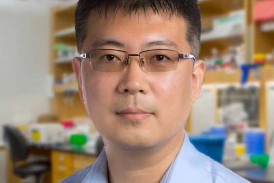 Jiang Zhu, PhD