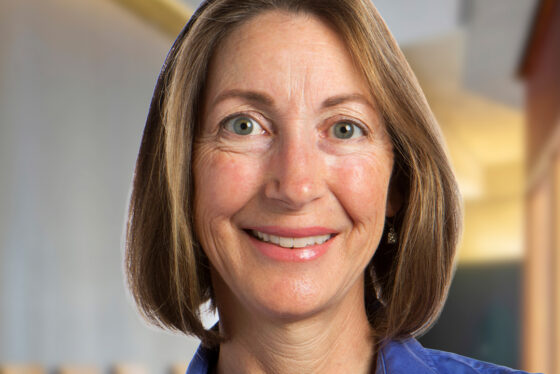 Lisa Stowers Anderson, PhD