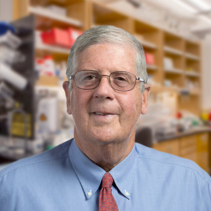 Martin Friedlander, MD, PhD