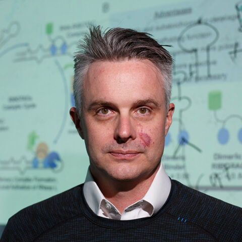 Matthew Disney, PhD