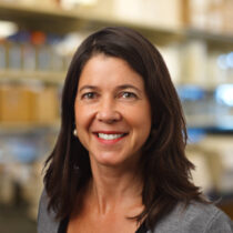 Susana Valente, PhD