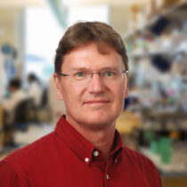 Thomas Kodadek, PhD