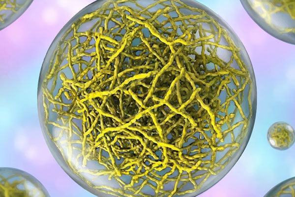 Hidden architecture inside cellular droplets reveals new targets for cancer and neurodegeneration