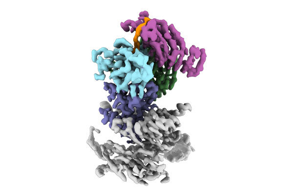 New way to intentionally discover molecular glues could expand drug discovery