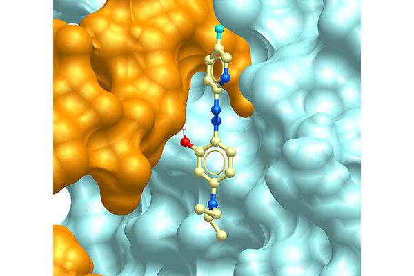 Study shows new drug compounds dial down inflammation without compromising immunity