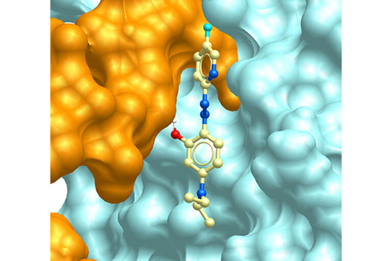 Study shows new drug compounds dial down inflammation without compromising immunity