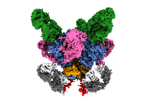 Improving vaccine design for Ebola, HIV and more