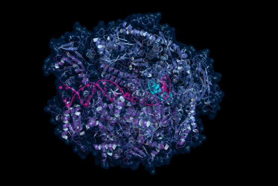Protein Production Core