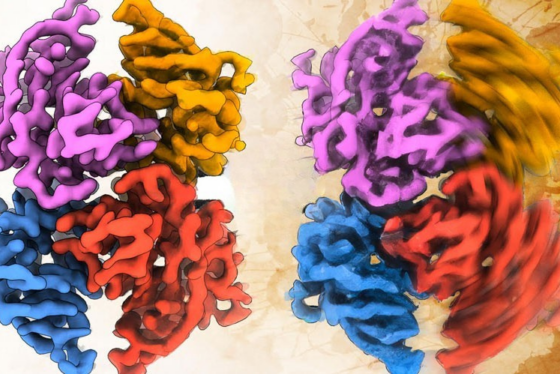 3D molecular rendering showing two conformational states of a multicolored protein complex in magenta, orange, blue, and red on a tan background.