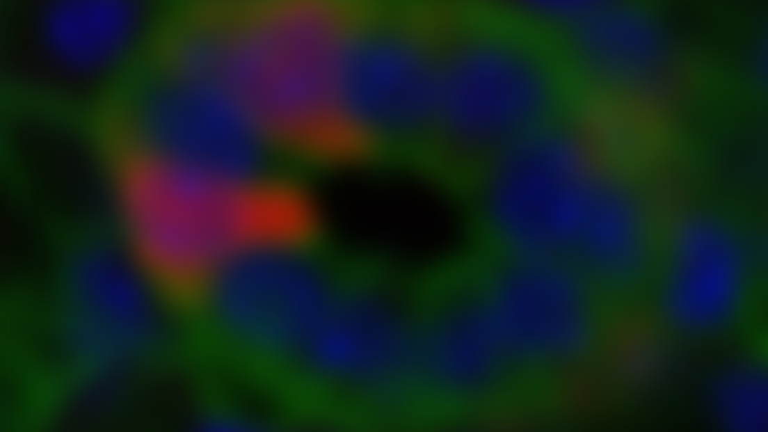 Event background