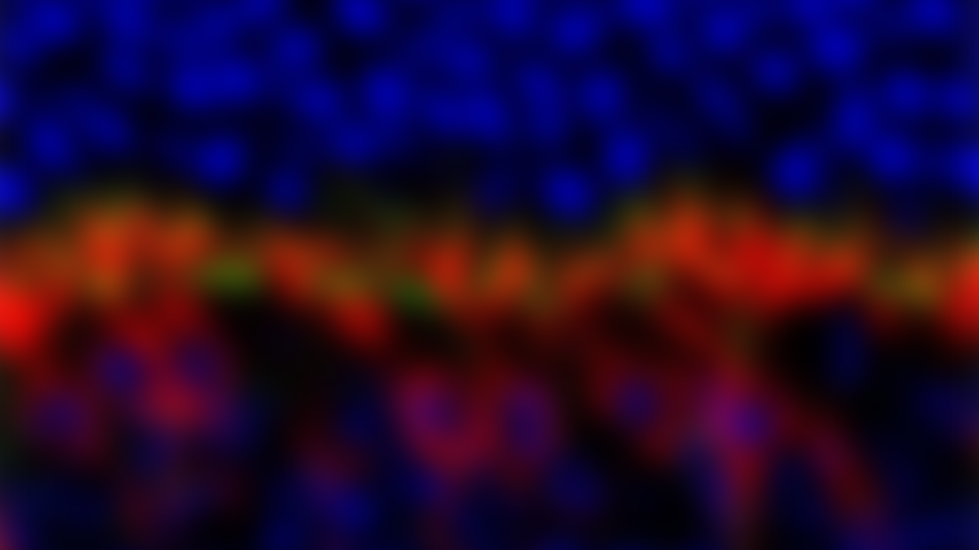 Event background
