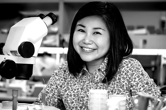 Longer Life: longer living with cellular recycling