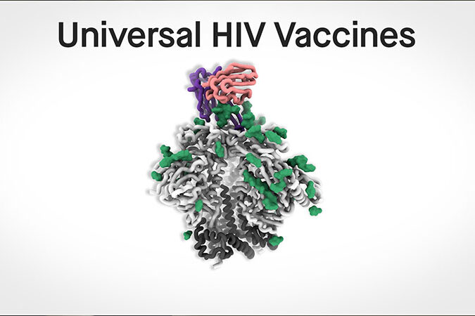 The search for universal vaccines: HIV