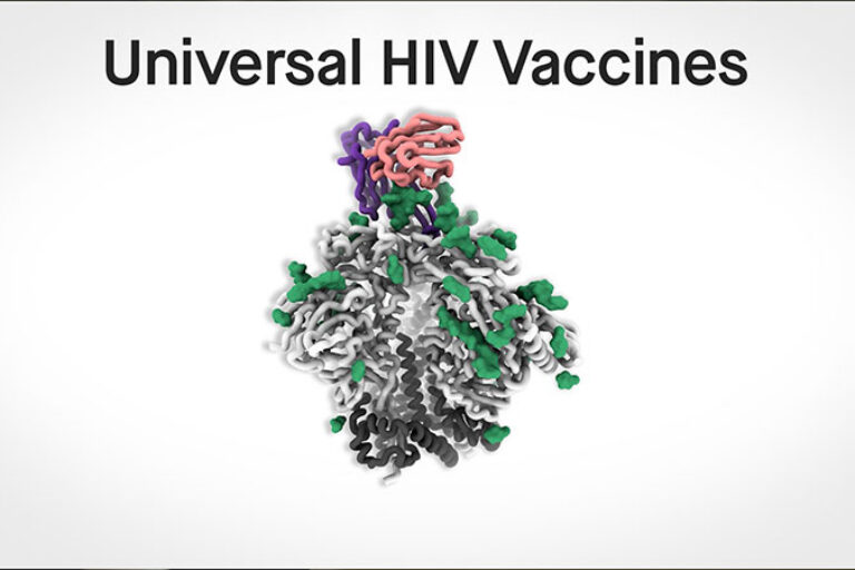 The search for universal vaccines: HIV