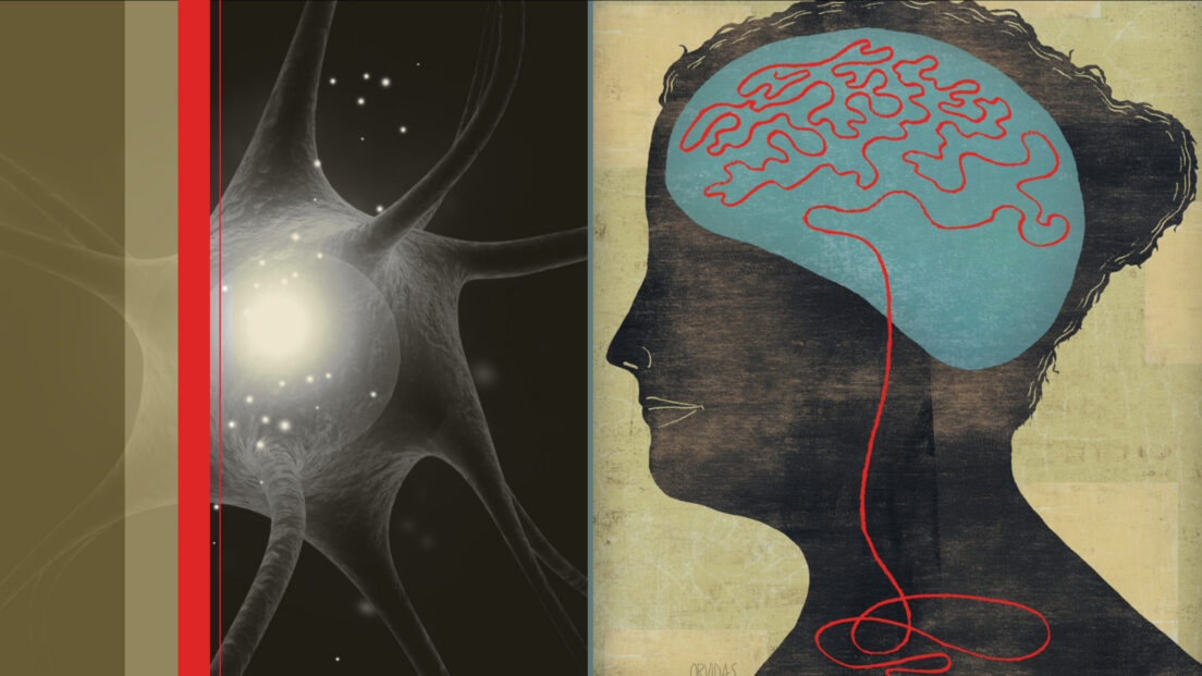 Rejuvenating the aging brain