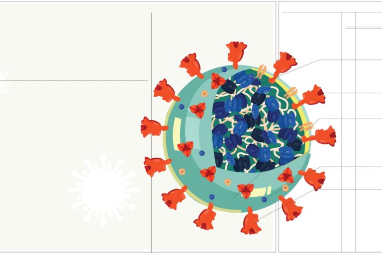 Coronavirus 101