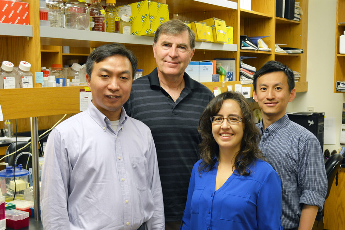 TSRI Researchers Find ‘Lead Actors’ in Immune Cell Development