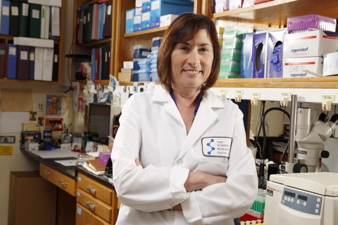 TSRI Scientists Identify Protein Behind Immune System ‘Shut Down’