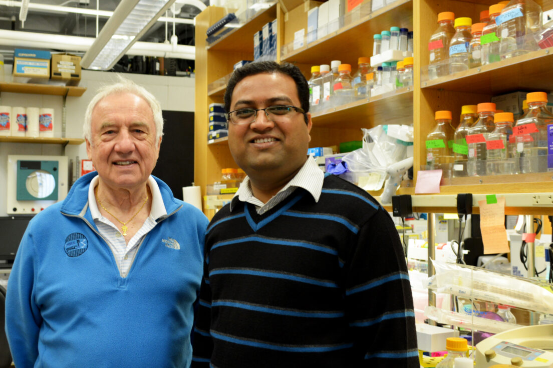 TSRI Scientists Show How Drug Binds with ‘Hidden Pocket’ on Flu Virus