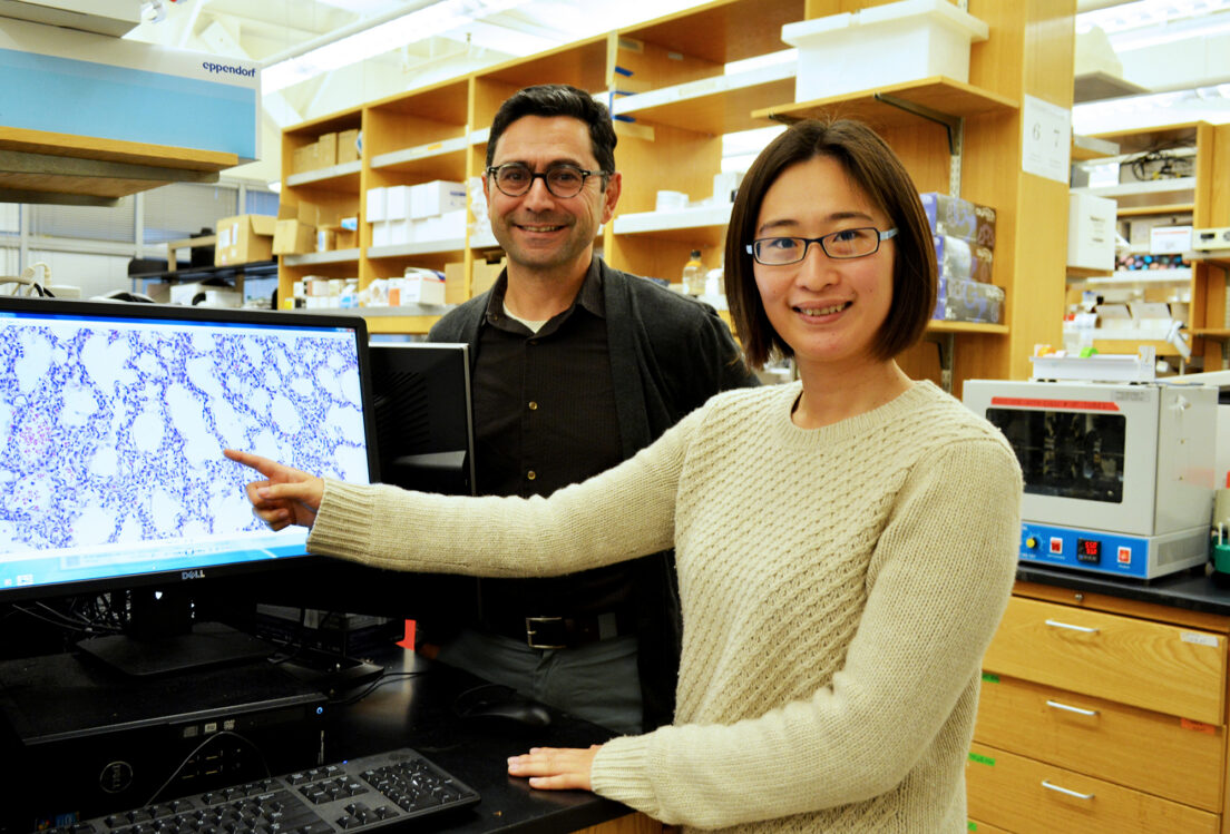 TSRI Study: Protein Monitors Lung Volume and Regulates Breathing