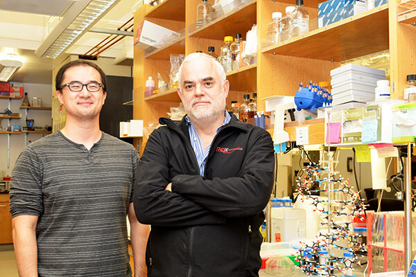 TSRI Scientists Create First Stable Semisynthetic Organism
