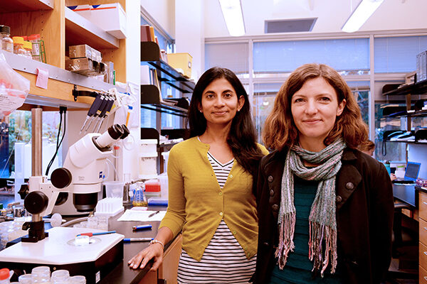TSRI Scientists Find Brain Hormone that Triggers Fat Burning