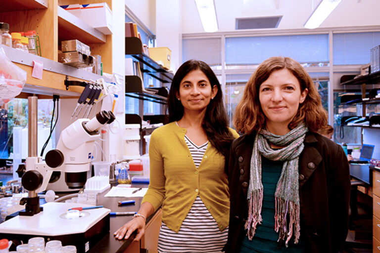 TSRI Scientists Find Brain Hormone that Triggers Fat Burning