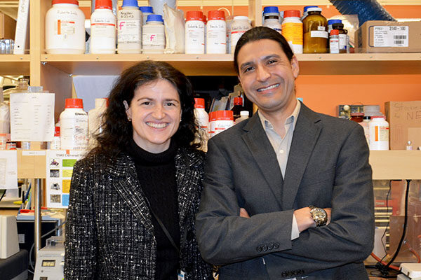 TSRI Researchers Discover How the Brain Turns Chronic Stress into Pathological Anxiety