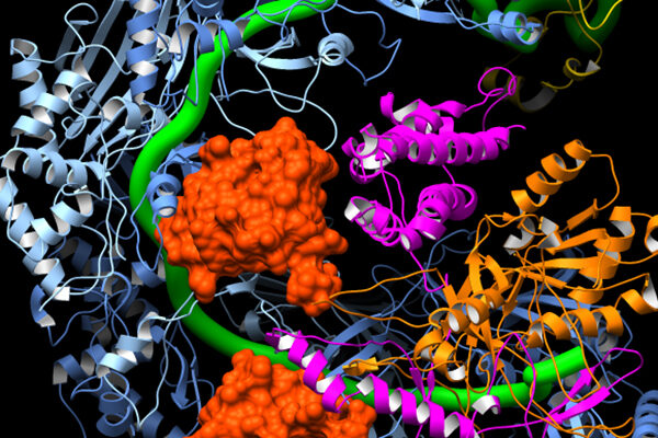 A Molecular On/Off Switch for CRISPR