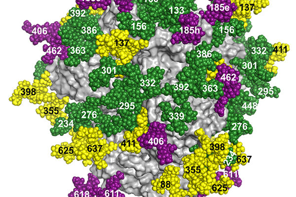 TSRI Researchers Develop New Method to ‘Fingerprint’ HIV
