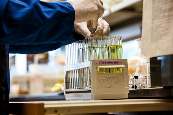 Broad Advance from TSRI Chemists Dramatically Simplifies Olefin Synthesis