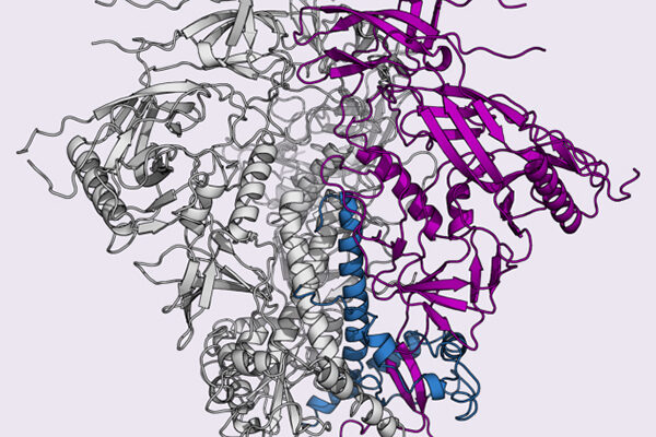 Scientists Jump Hurdle in HIV Vaccine Design