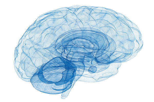 A Perspective on the Biology of Forgetting