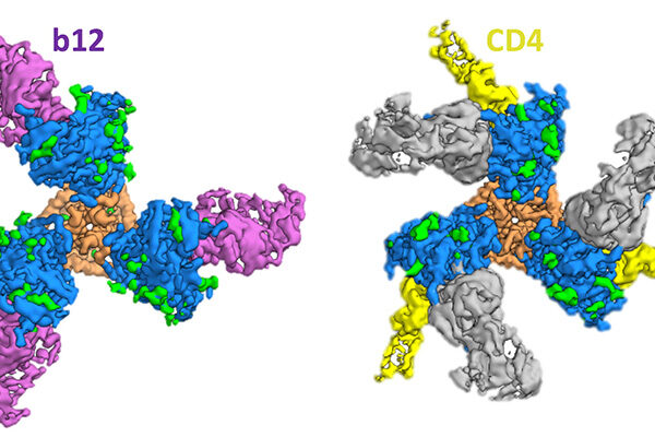 Scientists Capture First High Resolution Image of Key HIV Protein Transitional State