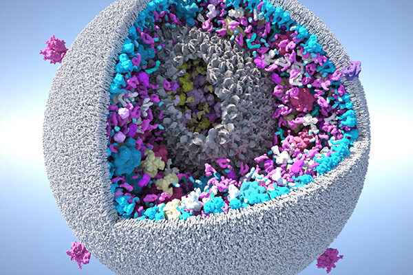HIVE Center Receives $27 Million in NIGMS Funding to Advance HIV Research