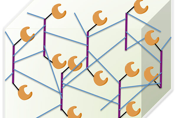 Chemists Use Modified DNA Nucleotides to Create New Materials